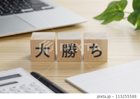 大勝ちと書かれた積み木のブロック 大勝ちと書かれた積み木のブロック 113255588