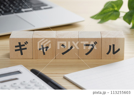 ギャンブルと書かれた積み木のブロック ギャンブルと書かれた積み木のブロック 113255603