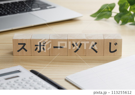 スポーツくじと書かれた積み木のブロック 113255612