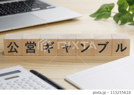 公営ギャンブルと書かれた積み木のブロック 113255618