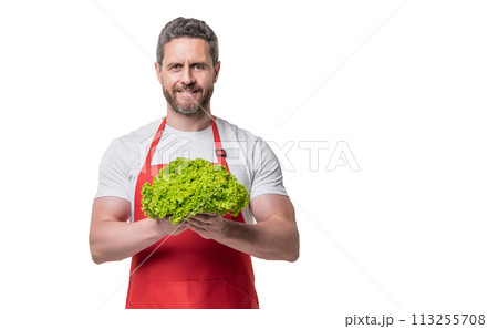 man in apron with lettuce vegetable isolated on white. copy space 113255708