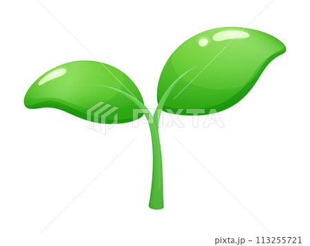 立体的なかわいい植物の芽のイラスト 113255721