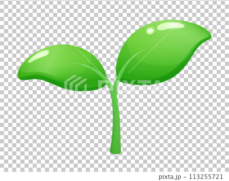 立体的なかわいい植物の芽のイラスト 113255721