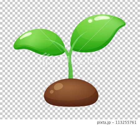 Three-dimensional cute plant bud illustration Three-dimensional cute plant bud illustration 113255761