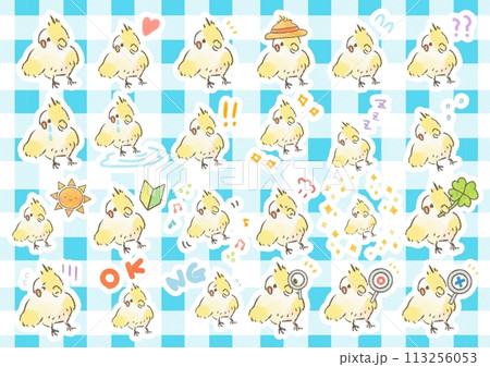 かわいいオカメインコのイラストセット 113256053