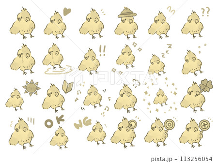 かわいいオカメインコのイラストセット かわいいオカメインコのイラストセット 113256054