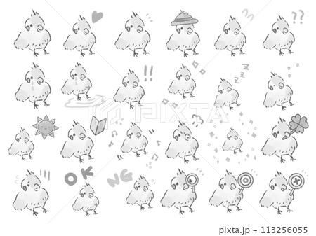 かわいいオカメインコのイラストセット かわいいオカメインコのイラストセット 113256055