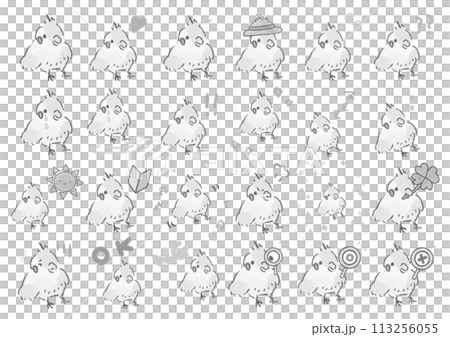 Cute cockatiel illustration set Cute cockatiel illustration set 113256055