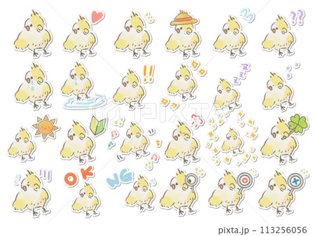 かわいいオカメインコのイラストセット かわいいオカメインコのイラストセット 113256056