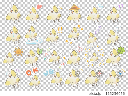 かわいいオカメインコのイラストセット かわいいオカメインコのイラストセット 113256056
