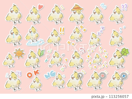 かわいいオカメインコのイラストセット かわいいオカメインコのイラストセット 113256057