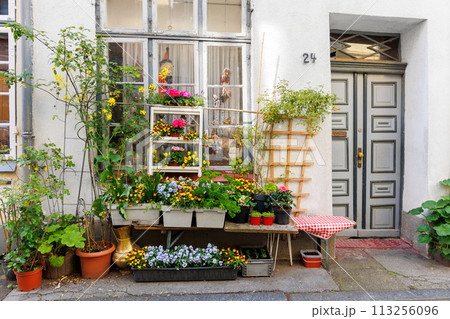 Old medieval german city street with house building facade wall many blooming flowerbeds on porch. Potted blossoming flower plants in small european town road on sunny day 113256096