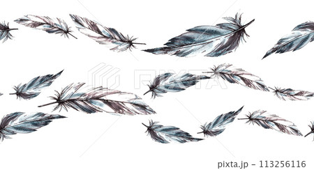 Watercolor seamless border, pattern with monochrome bird feathers grey black color with graphic ink line. Quills wings drawing illustration. Wrapping, fabric, packing print. Isolated white background 113256116