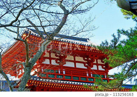 宮城県 多賀城跡 復元された南門 宮城県 多賀城跡 復元された南門 113256163
