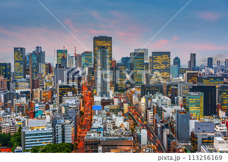 Osaka, Japan Cityscape Osaka, Japan Cityscape 113256169