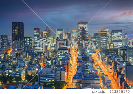 Osaka, Japan Cityscape 113256170