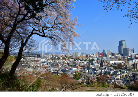 杜の都　愛宕山から仙台の街並みと泉ヶ岳を望む 113256307