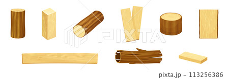Wooden Material and Object of Sawmill Vector Set 113256386