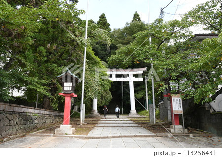 杜の都仙台 伊達政宗公を祀る青葉神社 参道 石段 鳥居 杜の都仙台 伊達政宗公を祀る青葉神社 参道 石段 鳥居 113256431