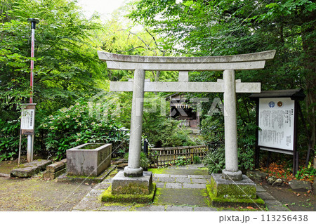 仙台市 伊達政宗公を祀る青葉神社 祖霊社 鳥居 仙台市 伊達政宗公を祀る青葉神社 祖霊社 鳥居 113256438