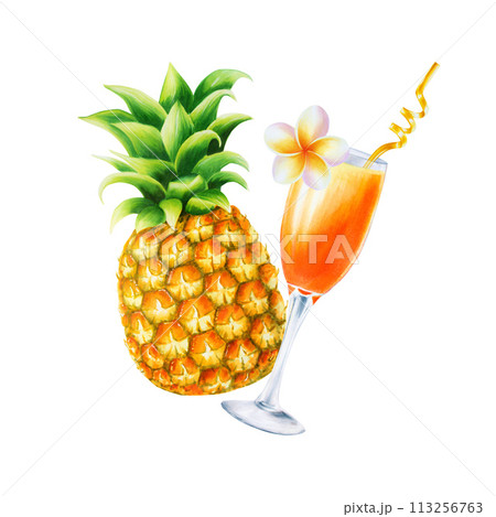 Watercolor composition with tropical illustrations straw with cocktail, pineapple, frangipani isolated on background. Beautiful hand painted refreshing dessert. For designers, spa decoration, 113256763