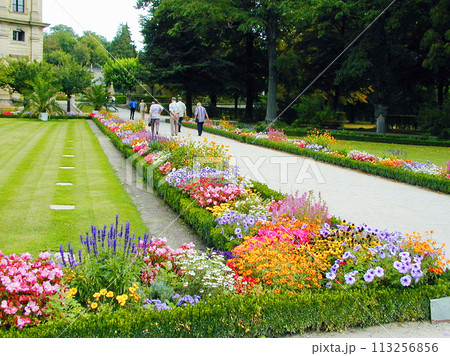 ドイツ ビュルツブルグ レジデンツとホーフ庭園に咲く花 ドイツ ビュルツブルグ レジデンツとホーフ庭園に咲く花 113256856