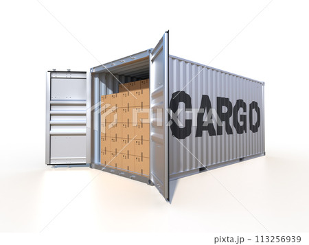 Cargo container and cardboard boxes isolated on white background 113256939
