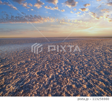 Sunset Genichesk pink salty lake, Ukraine 113256980