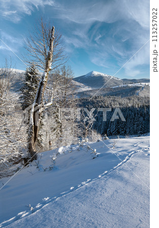 Winter Gorgany massiv mountains scenery view from Yablunytsia pass, Carpathians, Ukraine. Winter Gorgany massiv mountains scenery view from Yablunytsia pass, Carpathians, Ukraine. 113257022