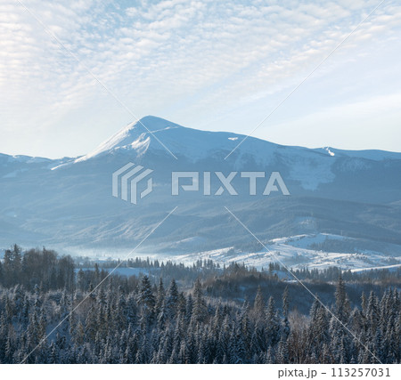 Winter Chornohora massiv mountains scenery view from Yablunytsia pass, Carpathians, Ukraine. 113257031