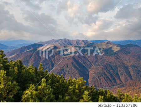 Autumn morning Carpathian Mountains calm picturesque scene, Ukraine. 113257286