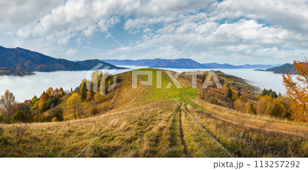 Morning foggy clouds in autumn mountain countryside.  Ukraine, Carpathian Mountains, Transcarpathia. Peaceful picturesque traveling, seasonal, nature and countryside beauty concept scene. 113257292