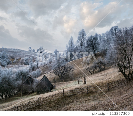 Winter coming. Cloudy and foggy morning very late autumn mountains scene. Peaceful picturesque traveling, seasonal, nature and countryside beauty concept scene. Carpathian Mountains, Ukraine. 113257300