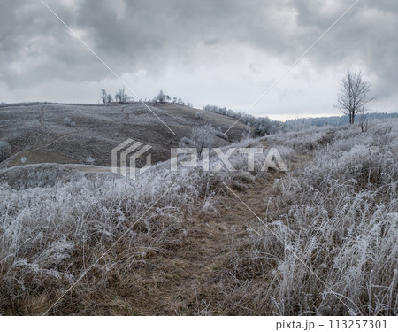Winter coming. Cloudy and foggy morning very late autumn mountains scene. Peaceful picturesque traveling, seasonal, nature and countryside beauty concept scene. Carpathian Mountains, Ukraine. 113257301