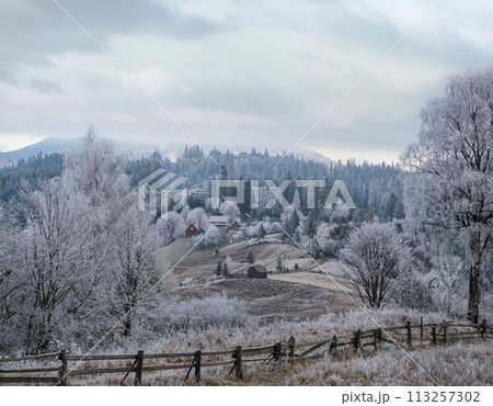 Winter coming. Picturesque foggy and moody morning scene in late autumn mountain countryside with hoarfrost on grasses, trees, slopes. Ukraine, Carpathian Mountains. 113257302