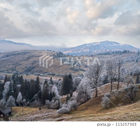 Winter coming. Picturesque foggy and moody morning scene in late autumn mountain countryside with hoarfrost on grasses, trees, slopes. Ukraine, Carpathian Mountains. 113257303