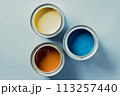 This is flat lay of an open multicolored paint cans Generation AI 113257440