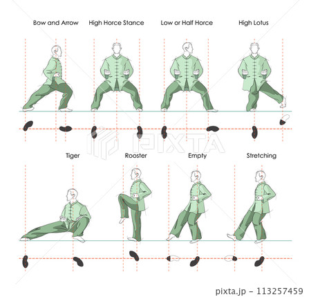 Tai Chi stances. 8 Basic Stances Vector Illustration. The bow and arrow stance, the hight horce stance, the low or half horce, the high lotus stance, the tiger stance, the rooster stance, the empty Tai Chi stances. 8 Basic Stances Vector Illustration. The bow and arrow stance, the hight horce stance, the low or half horce, the high lotus stance, the tiger stance, the rooster stance, the empty 113257459