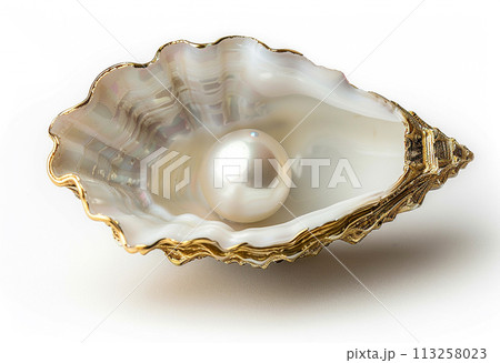 Pearl Inside an Oyster Shell on White Background Pearl Inside an Oyster Shell on White Background 113258023