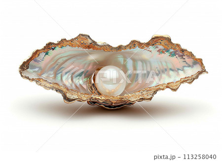 Pearl Inside an Oyster Shell on White Background 113258040