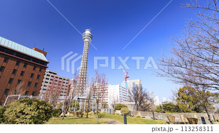 山下公園の春 113258311