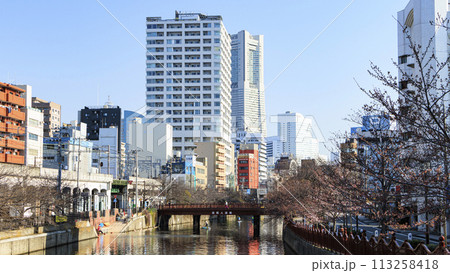 桜咲く大岡川の風景 113258418