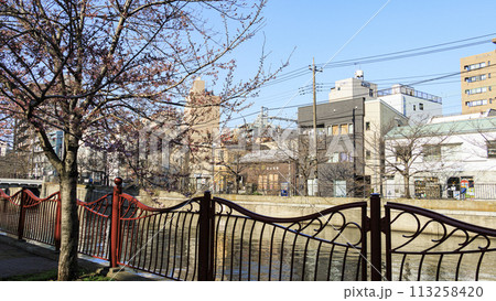 桜咲く大岡川の風景 113258420