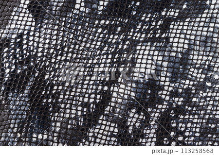 Genuine leather texture with imitation of exotic reptile surface, trendy background. Concept of shopping, manufacturing Genuine leather texture with imitation of exotic reptile surface, trendy background. Concept of shopping, manufacturing 113258568