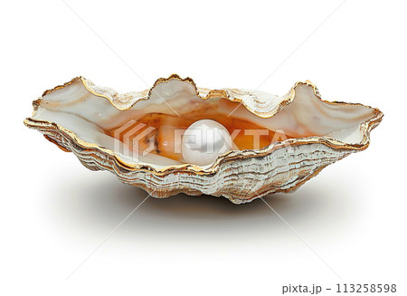 Elegant Pearl in Oyster Shell 113258598