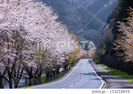 春の四万十 113258659