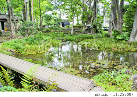 白滝公園/静岡県三島市一番町1 白滝公園/静岡県三島市一番町1 113259097