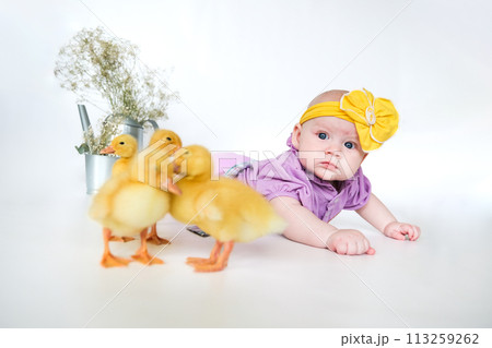 Cute child with little newborn chicks, enjoying, cute kid and animal friend Cute child with little newborn chicks, enjoying, cute kid and animal friend 113259262