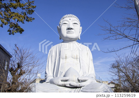 布袋の大仏 布袋大仏 113259619