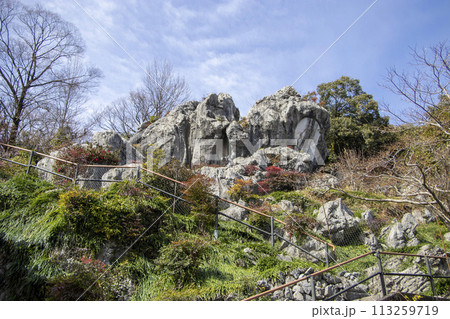 金生山岩巣公園 金生山岩巣公園 113259719
